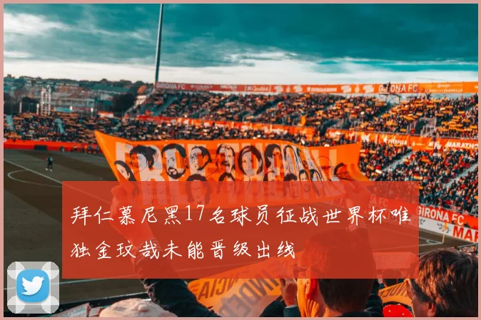 拜仁慕尼黑17名球员征战世界杯唯独金玟哉未能晋级出线