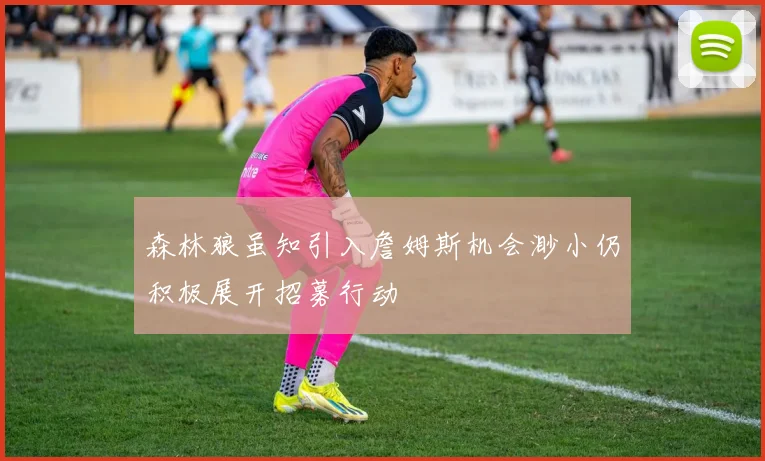 森林狼虽知引入詹姆斯机会渺小仍积极展开招募行动