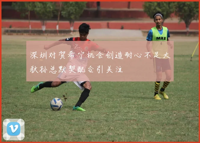 深圳对贺希宁机会创造耐心不足大秋孙总默契配合引关注